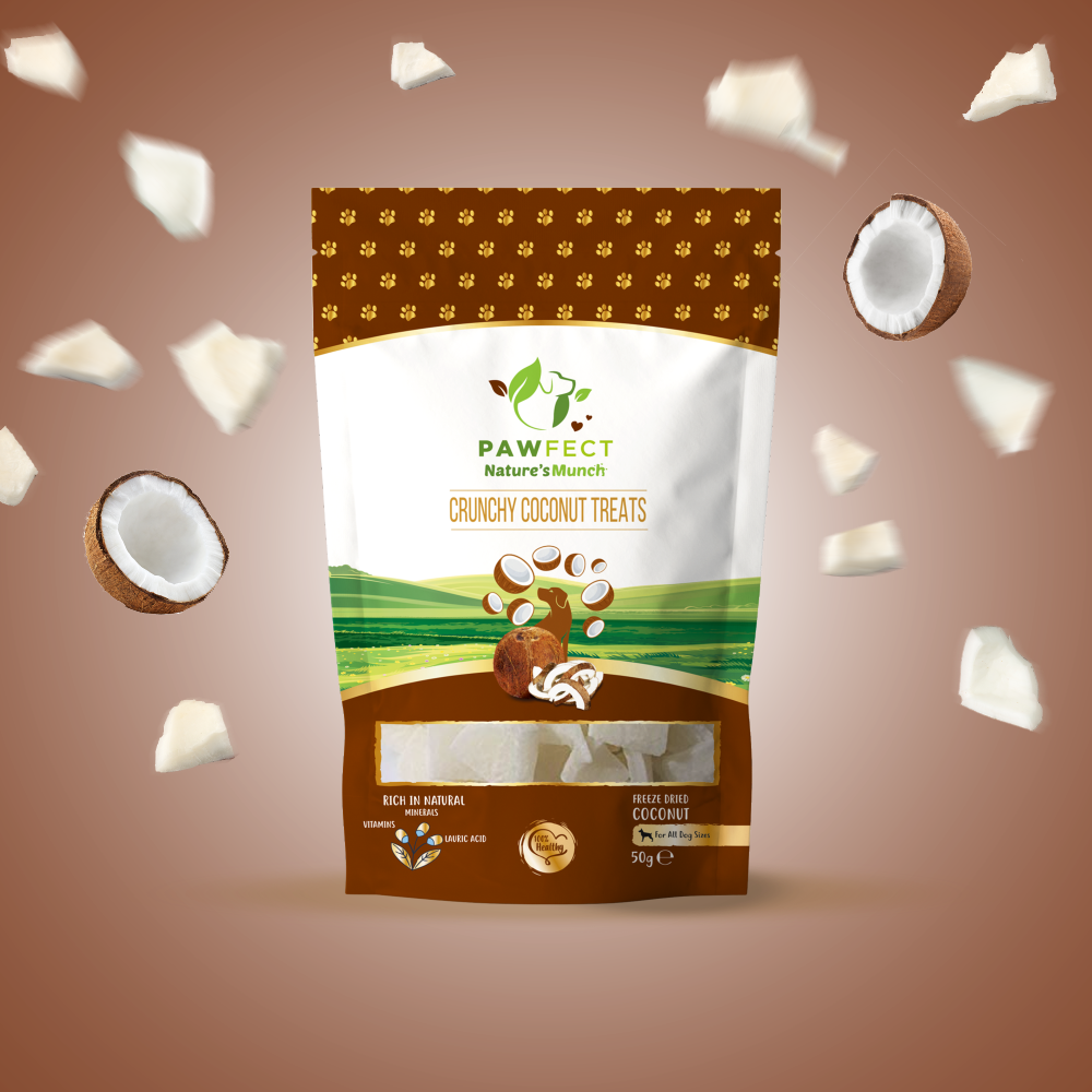 Nature's Munch Single Ingredient Vegan Treats: Coconut (50g/1.76oz)