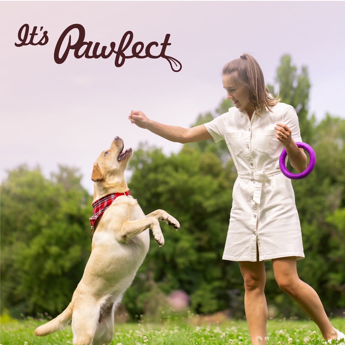 Freeze Dried Dog Treats: Chicken Liver (200g/7oz)
