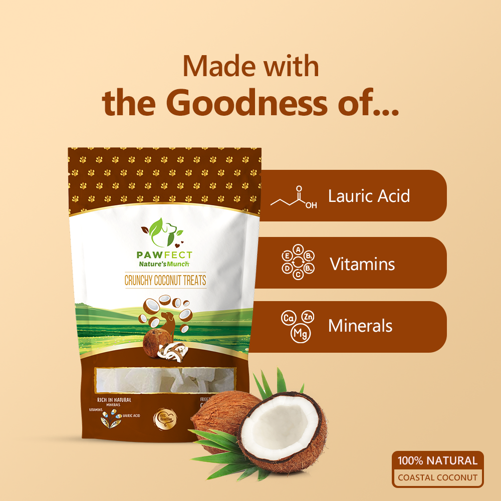 Nature's Munch Single Ingredient Vegan Treats: Coconut (50g/1.76oz)
