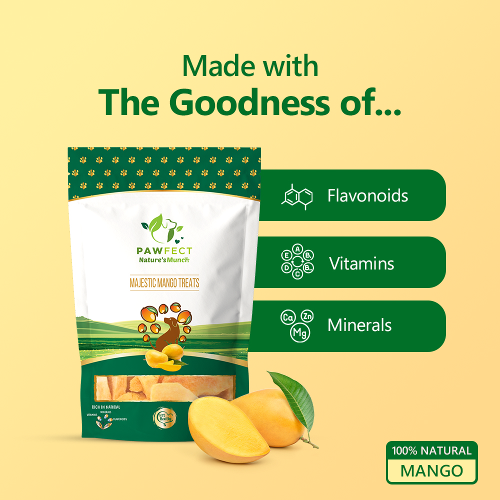 Nature's Munch Single Ingredient Vegan Treats: Mango (40g/1.41oz)