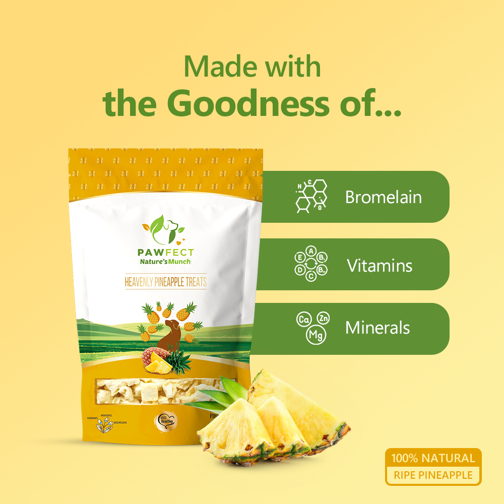 Nature's Munch Single Ingredient Vegan Treats: Pineapple (40g/1.41oz)