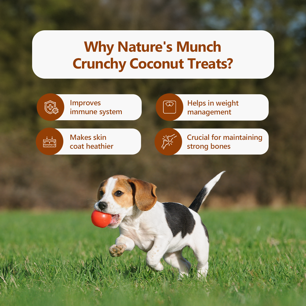 Nature's Munch Single Ingredient Vegan Treats: Coconut (50g/1.76oz)