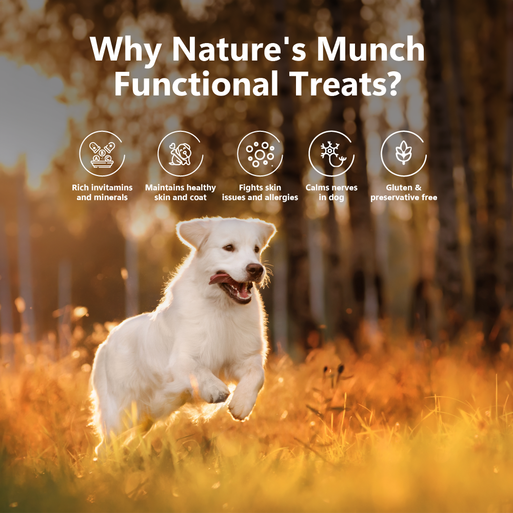Nature's Munch Functional Dog Treats: Skin Care (75g/2.65oz)