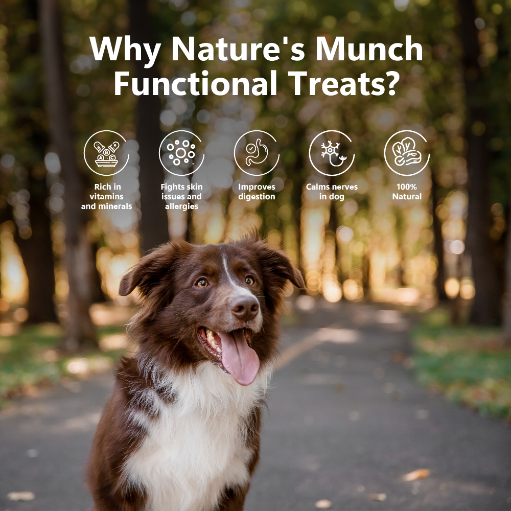 Nature's Munch Functional Dog Treats: Health & Digestion (75g/2.65oz)