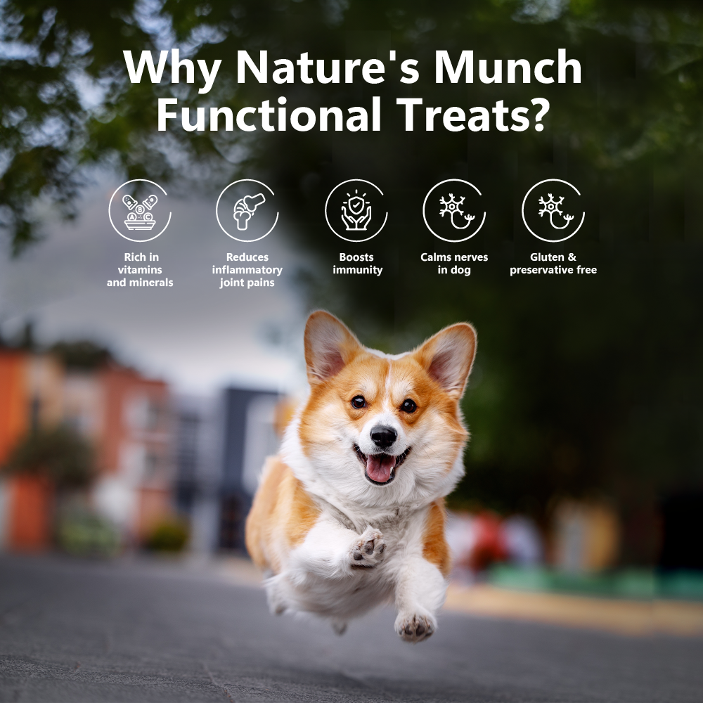 Nature's Munch Functional Dog Treats: Joint Care (75g/2.65oz)