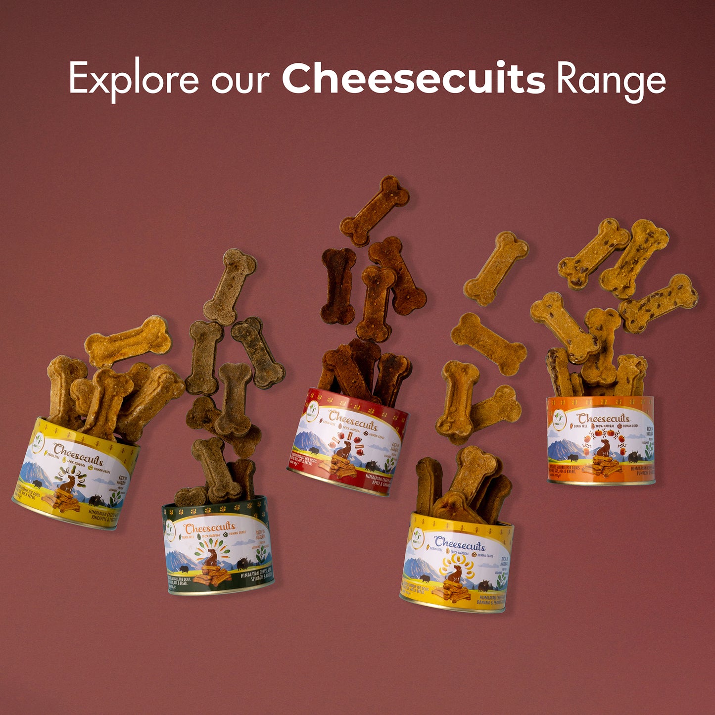 Cheesecuits Cheesy Dog Biscuits with Apple and Cinnamon (100g/3.53oz)