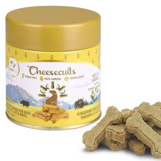 Cheesecuits Cheesy Dog Biscuits with Pineapple and Coconut (100g/3.53oz)