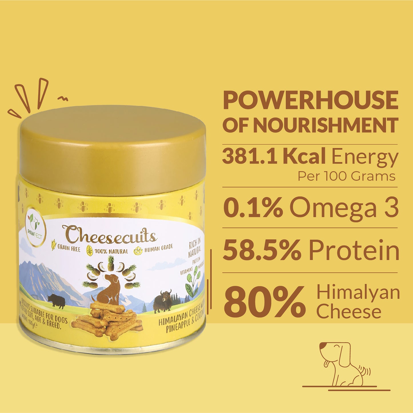Cheesecuits Cheesy Dog Biscuits with Pineapple and Coconut (100g/3.53oz)