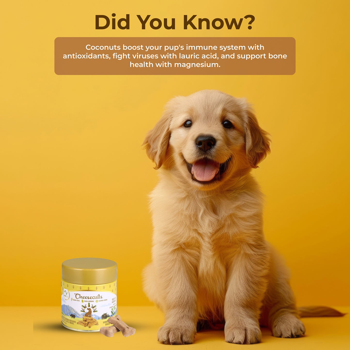 Cheesecuits Cheesy Dog Biscuits with Pineapple and Coconut (100g/3.53oz)