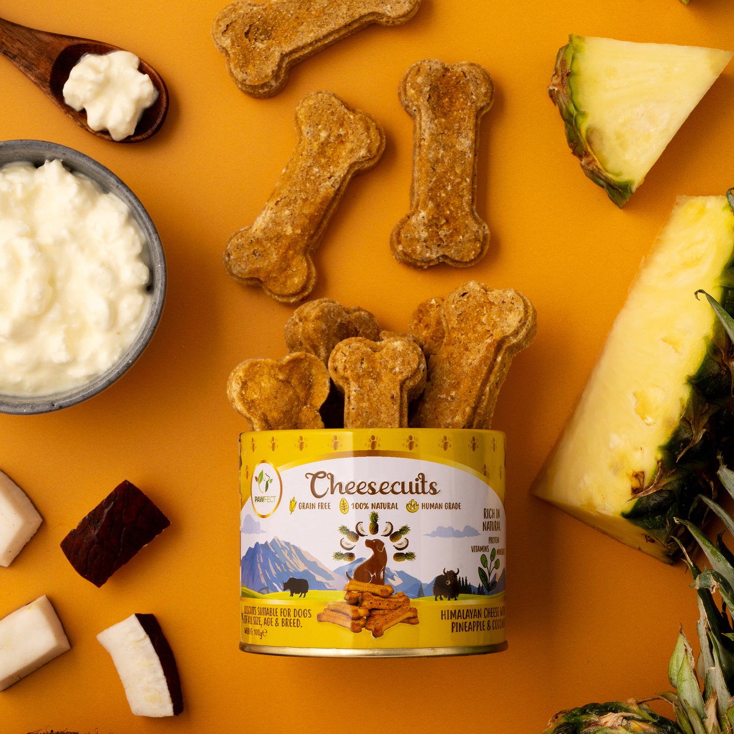 Cheesecuits Cheesy Dog Biscuits with Pineapple and Coconut (100g/3.53oz)
