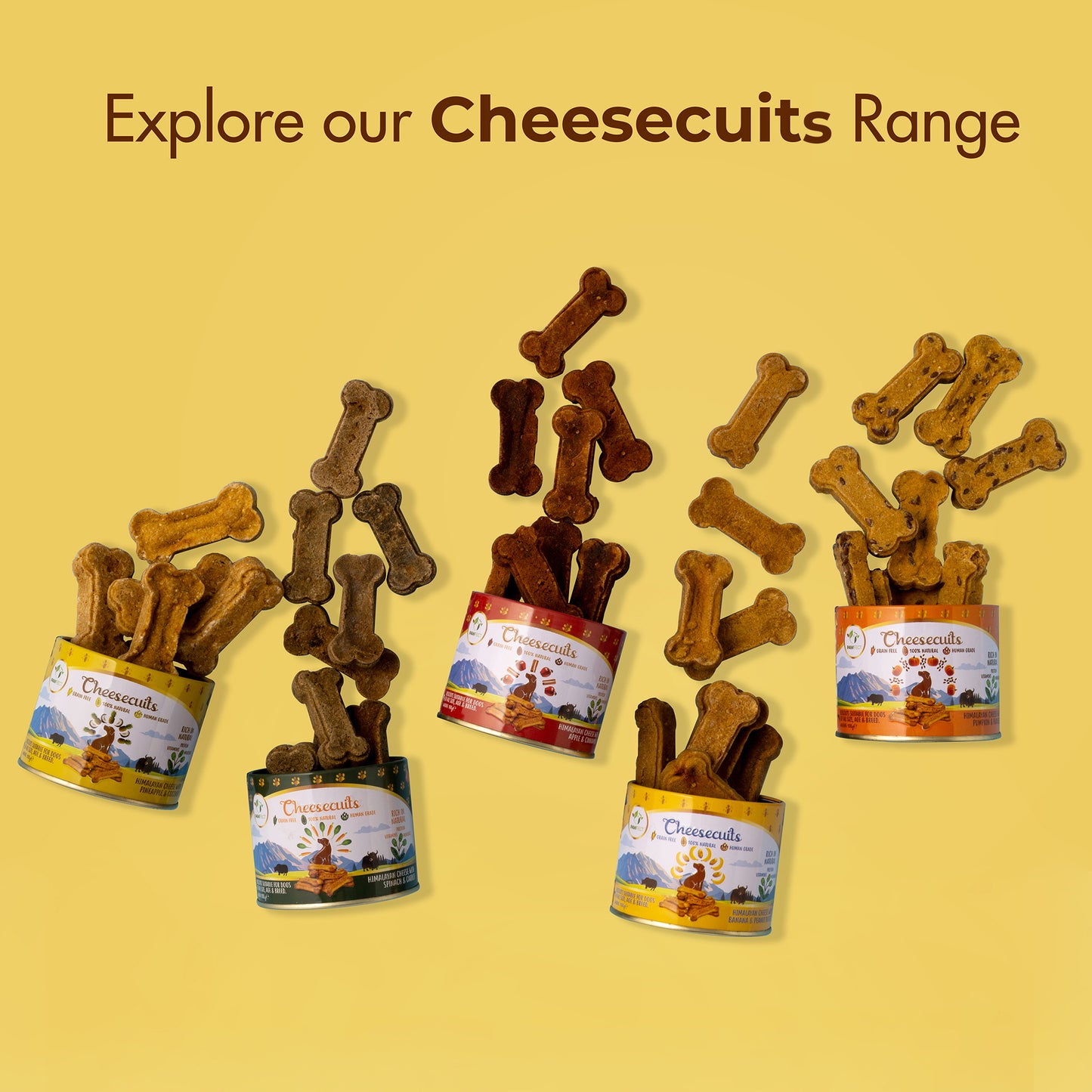 Cheesecuits Cheesy Dog Biscuits with Pineapple and Coconut (100g/3.53oz)