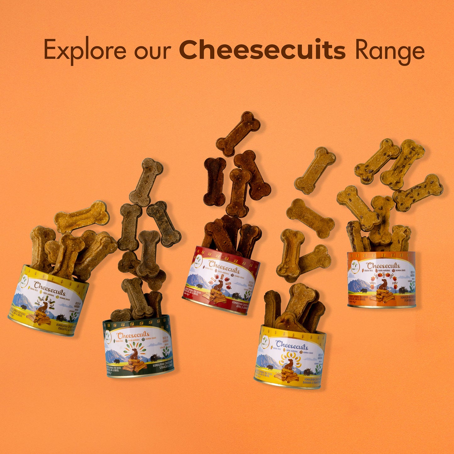 Cheesecuits Cheesy Dog Biscuits with Pumpkin and Flaxseed (100g/3.53oz)