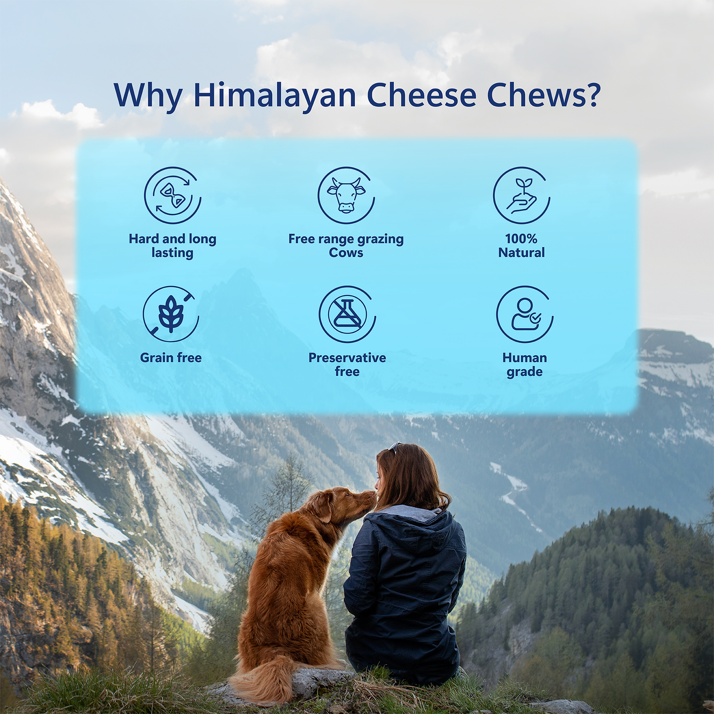 Pawfect Himalayan Cheese Dental Chew for Small Dogs | Pack of 66 bars (2178g/76.82oz)| 100% Natural dog treat| Grain & Rawhide free | Long Lasting