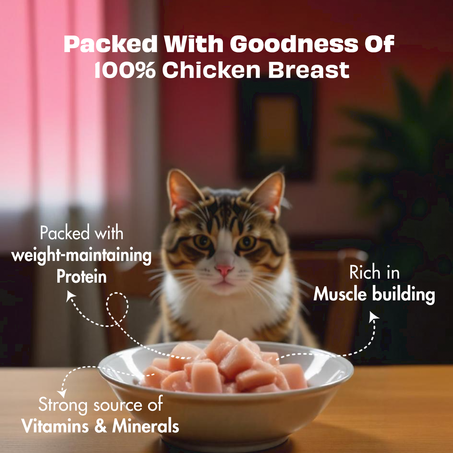 Nature's Feast Freeze Dried Cat Treats: Chicken Breast (50g/1.76oz)