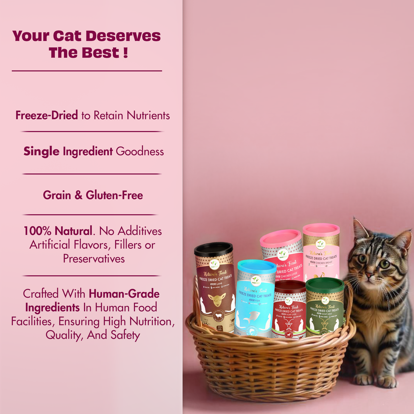 Nature's Feast Freeze Dried Cat Treats: Chicken Breast (50g/1.76oz)