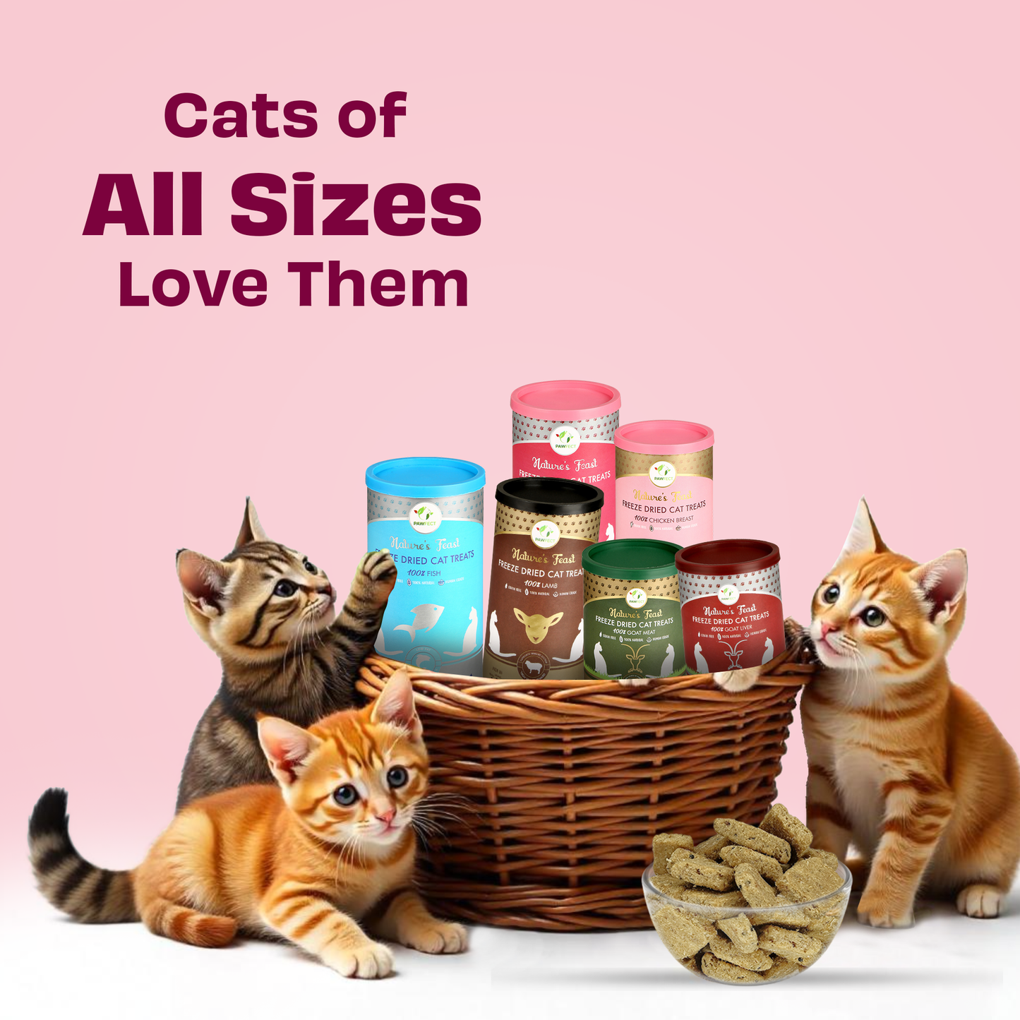 Nature's Feast Freeze Dried Cat Treats: Chicken Breast (50g/1.76oz)