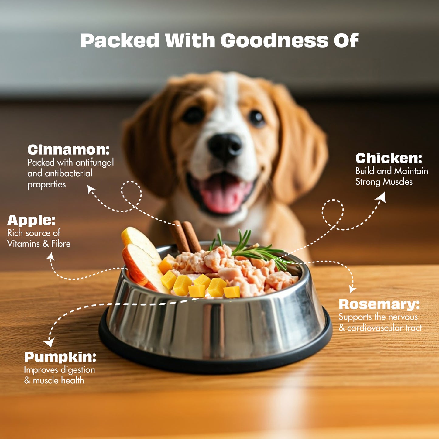 Nature's Feast Freeze Dried Dog Treats: Chicken with Pumpkin Spice Magic (50g/1.76oz)
