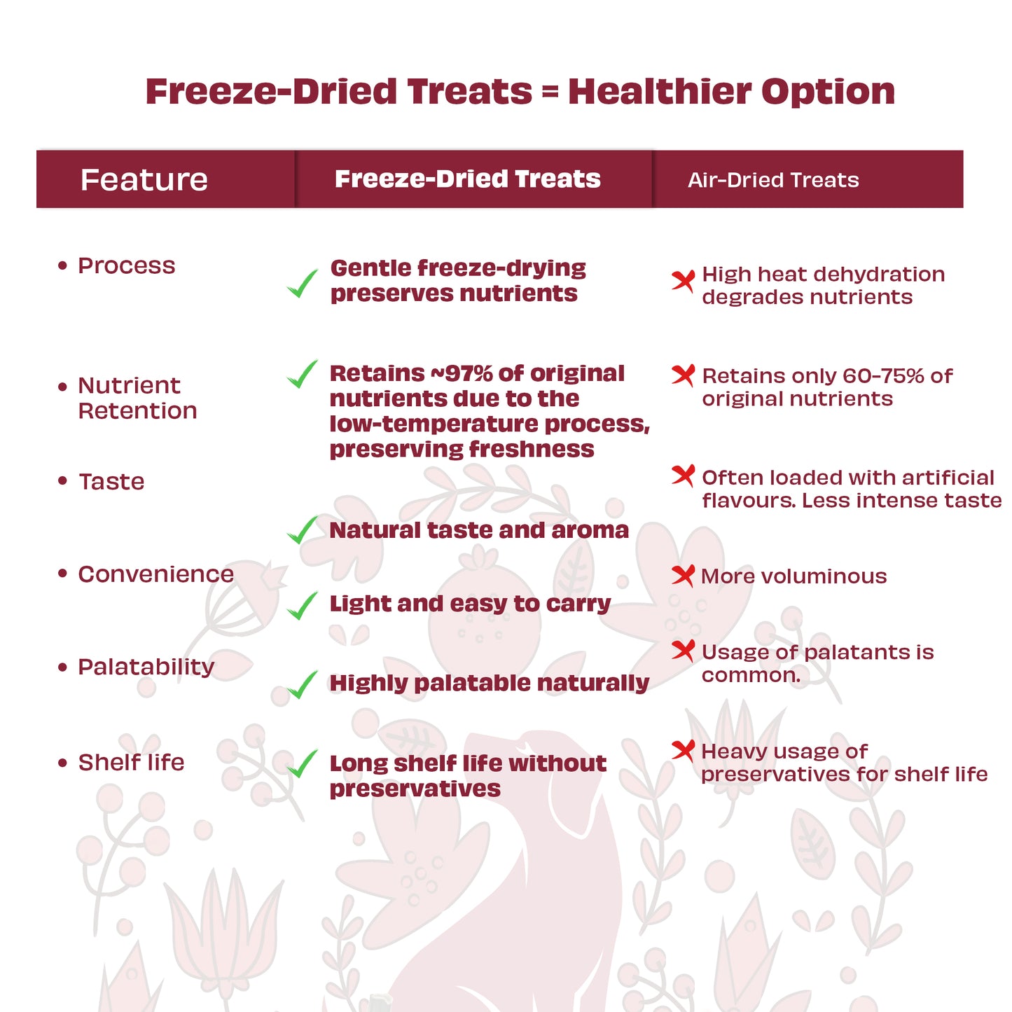 Nature's Feast Freeze Dried Dog Treats: Chicken with Pumpkin Spice Magic (50g/1.76oz)