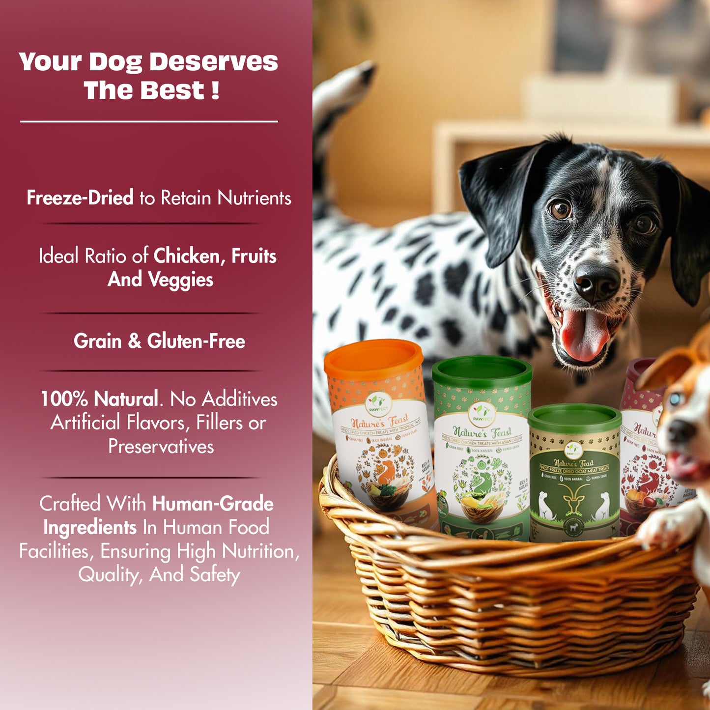 Nature's Feast Freeze Dried Dog Treats: Chicken with Pumpkin Spice Magic (50g/1.76oz)