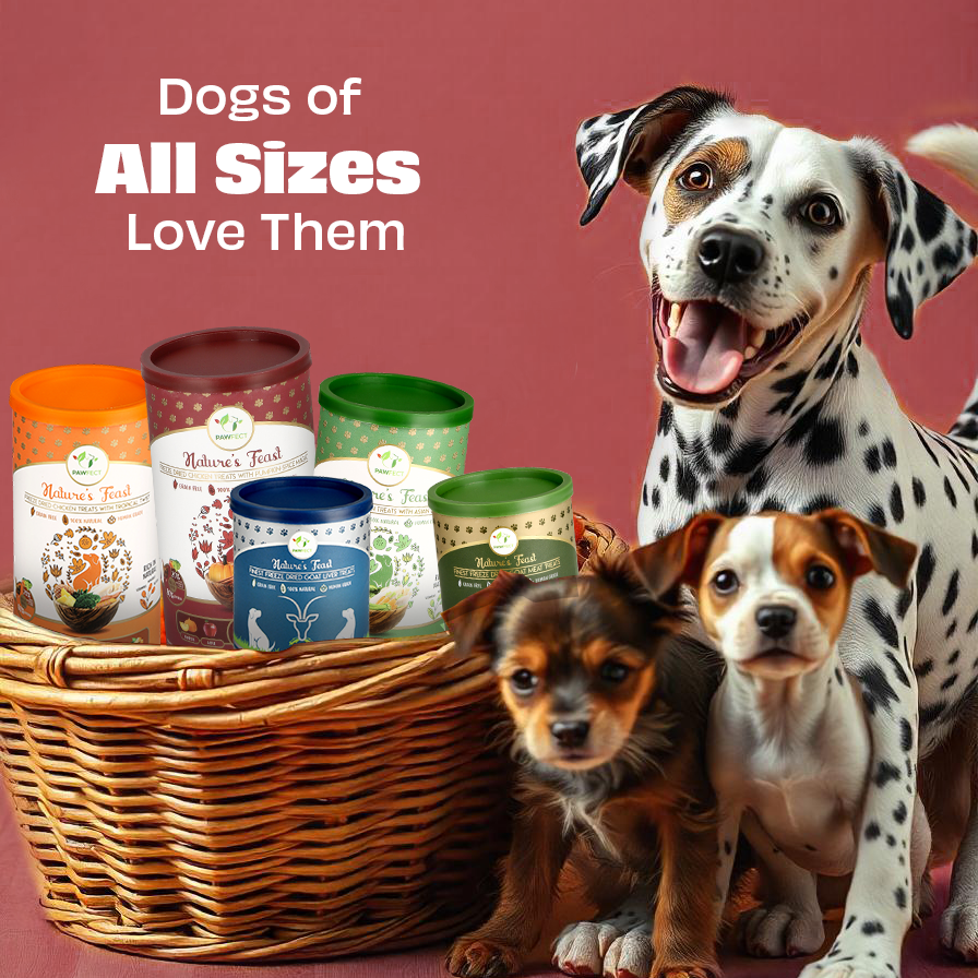 Nature's Feast Freeze Dried Dog Treats: Chicken with Pumpkin Spice Magic (50g/1.76oz)