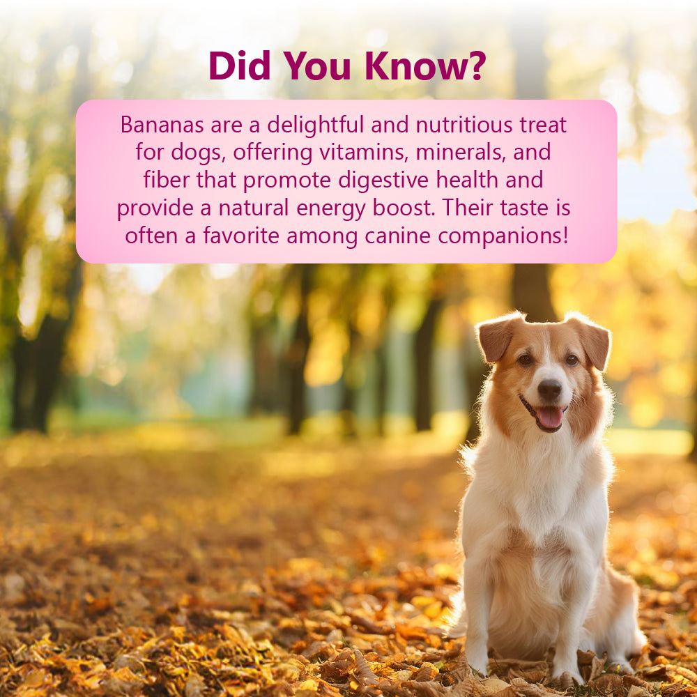 Nature's Munch Functional Dog Treats: Calm and Relaxed (75g/2.65oz)