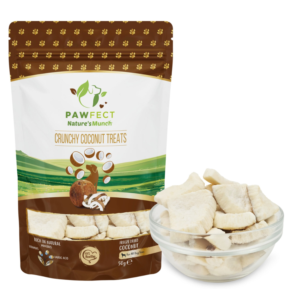 Nature's Munch Single Ingredient Vegan Treats: Coconut (50g/1.76oz)