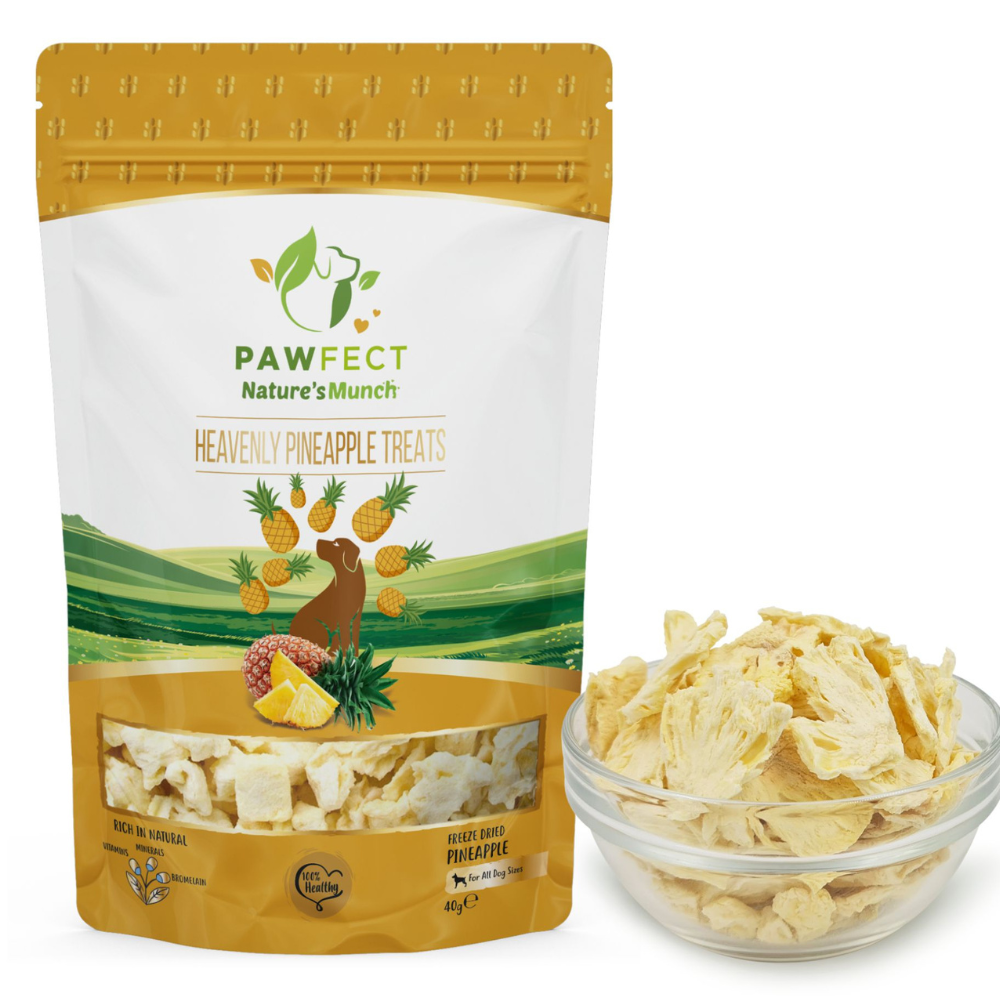Nature's Munch Single Ingredient Vegan Treats: Pineapple (40g/1.41oz)