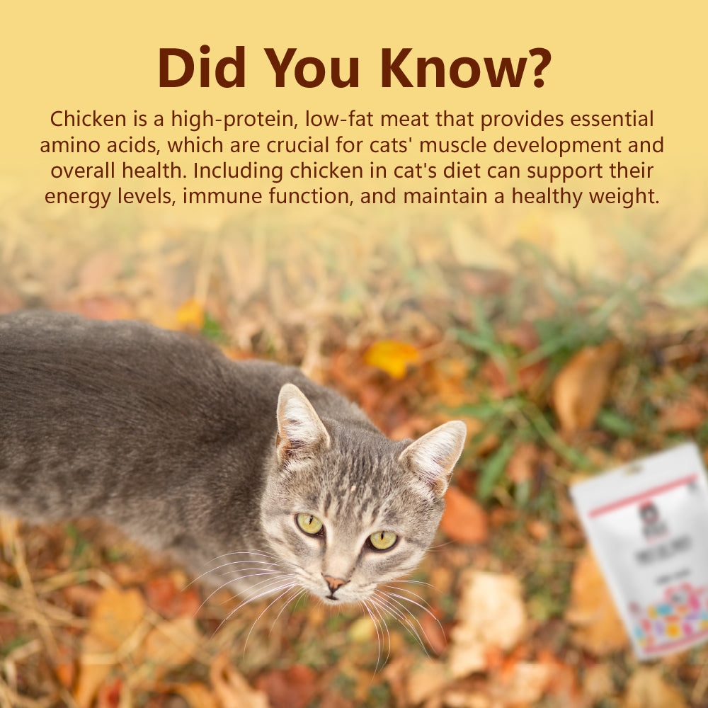 Pixie Cat Treats: Chicken (50g/1.76oz)