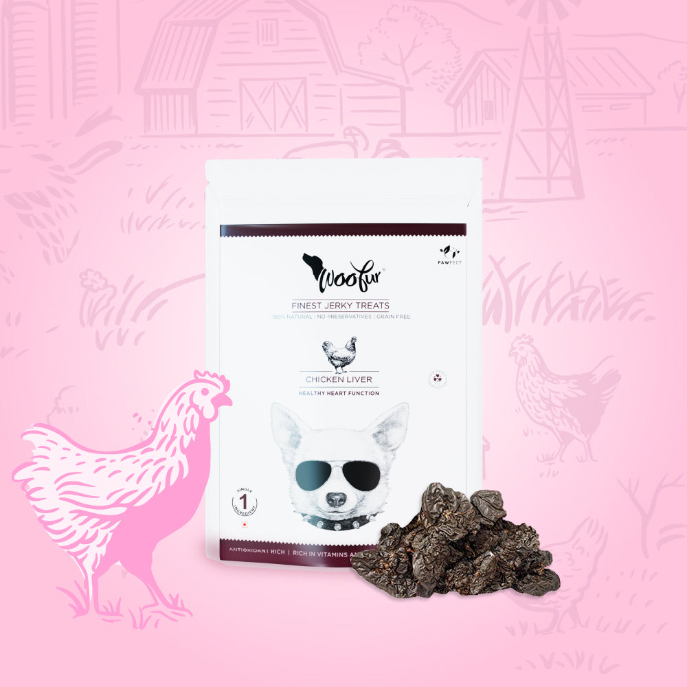 Woofur Jerky Treats: Chicken Liver (50g/1.76oz)