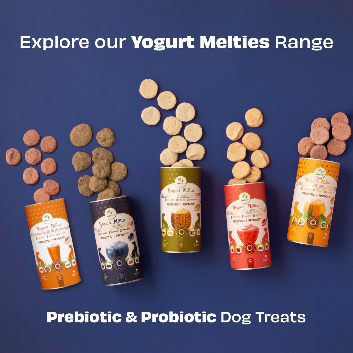 Yogurt Melties Prebiotic and Probiotic Dog Treats: Blueberry & Yogurt (38g/1.34oz)