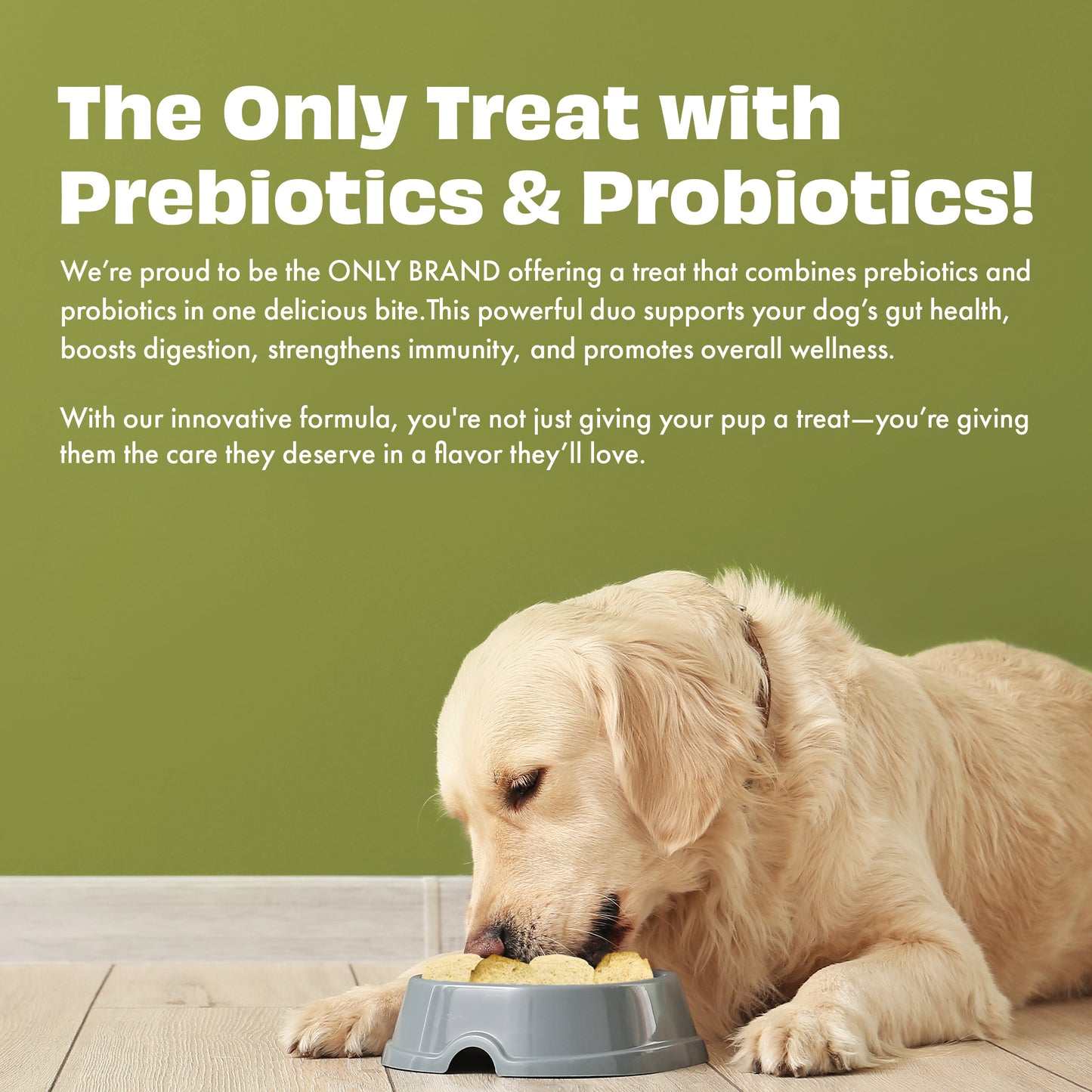 Yogurt Melties Prebiotic and Probiotic Dog Treats: Pineapple & Yogurt (38g/1.34oz)