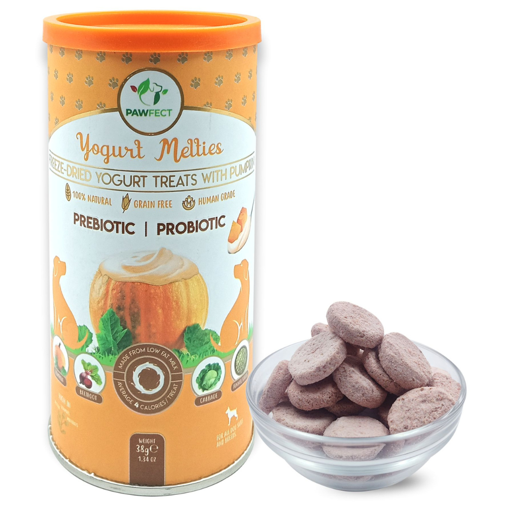 Yogurt Melties Prebiotic and Probiotic Dog Treats: Pumpkin Yogurt