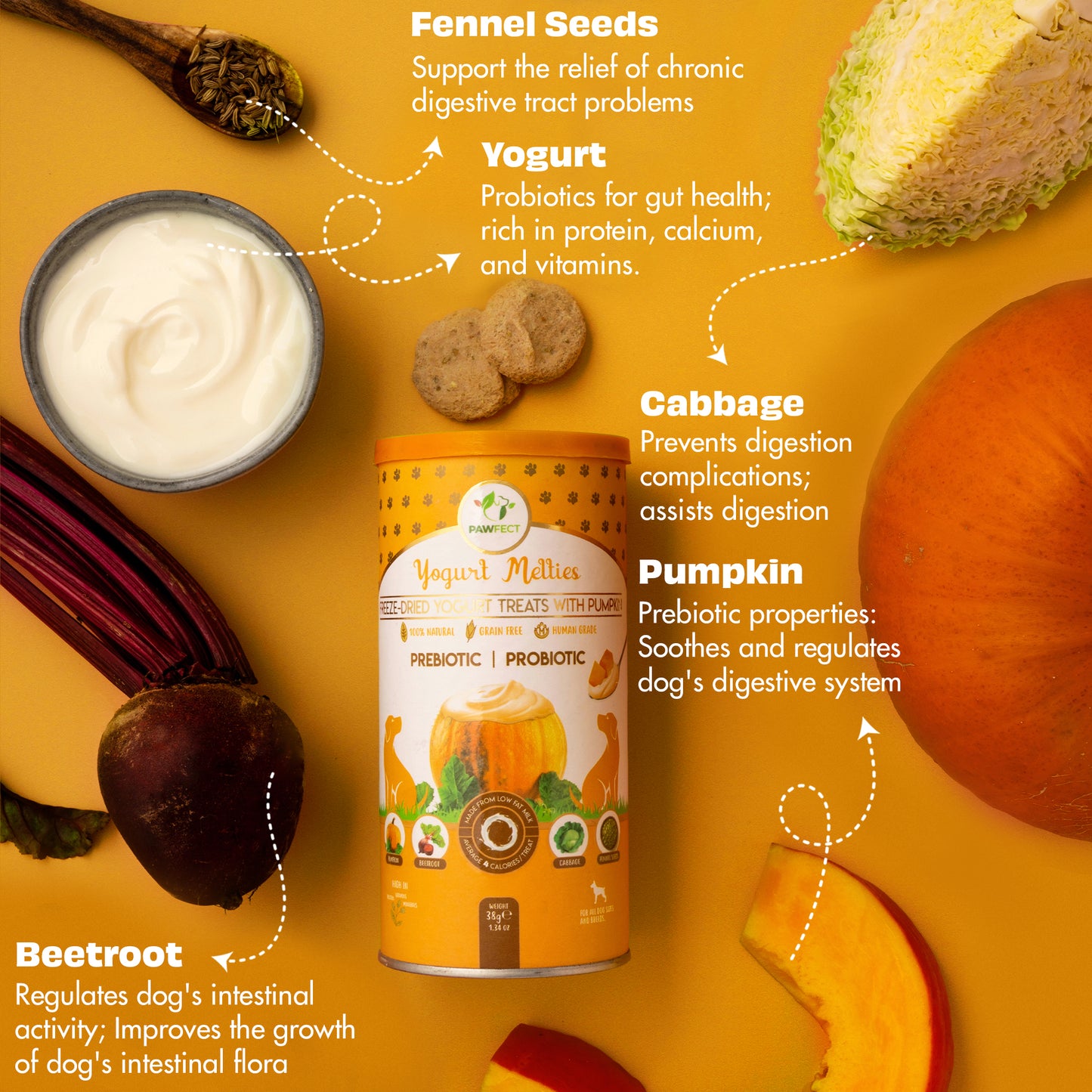 Yogurt Melties Prebiotic and Probiotic Dog Treats: Pumpkin & Yogurt (38g/1.34oz)