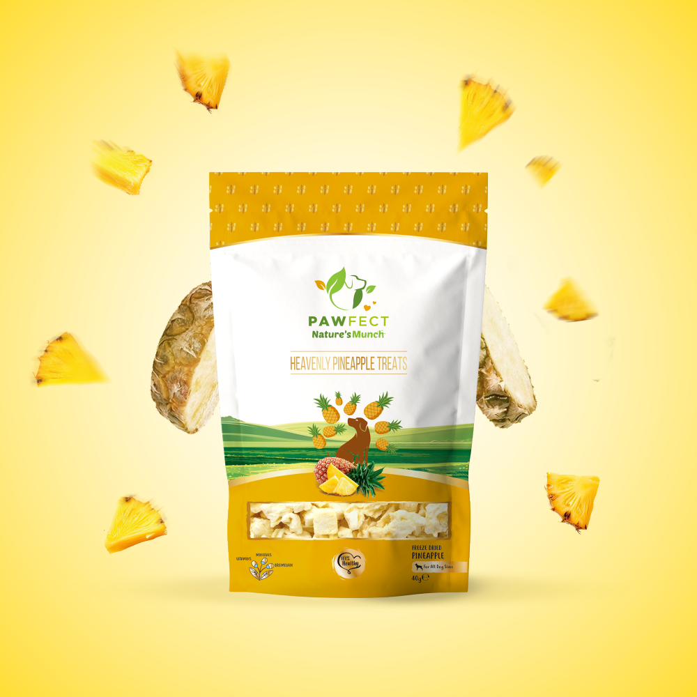 Nature's Munch Single Ingredient Vegan Treats: Pineapple (40g/1.41oz)