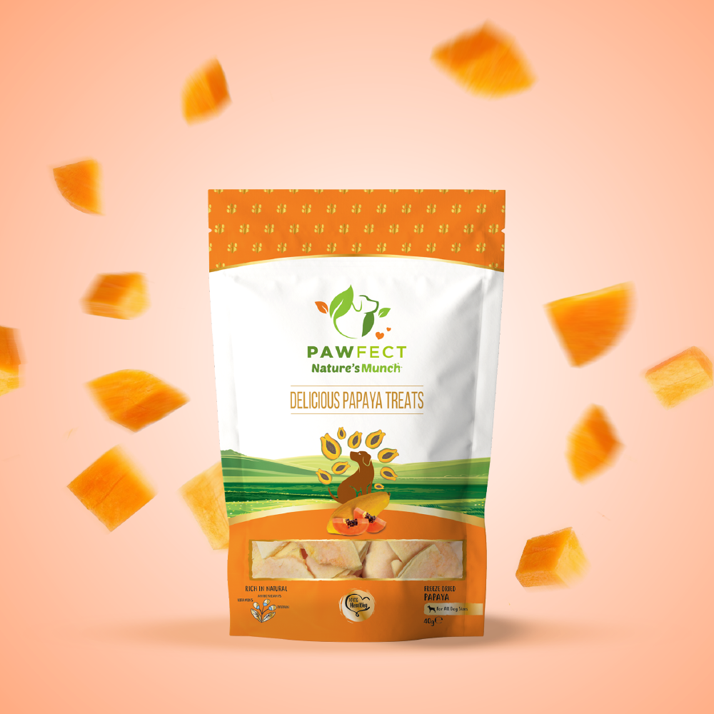 Nature's Munch Single Ingredient Vegan Treats: Papaya (40g/1.41oz)