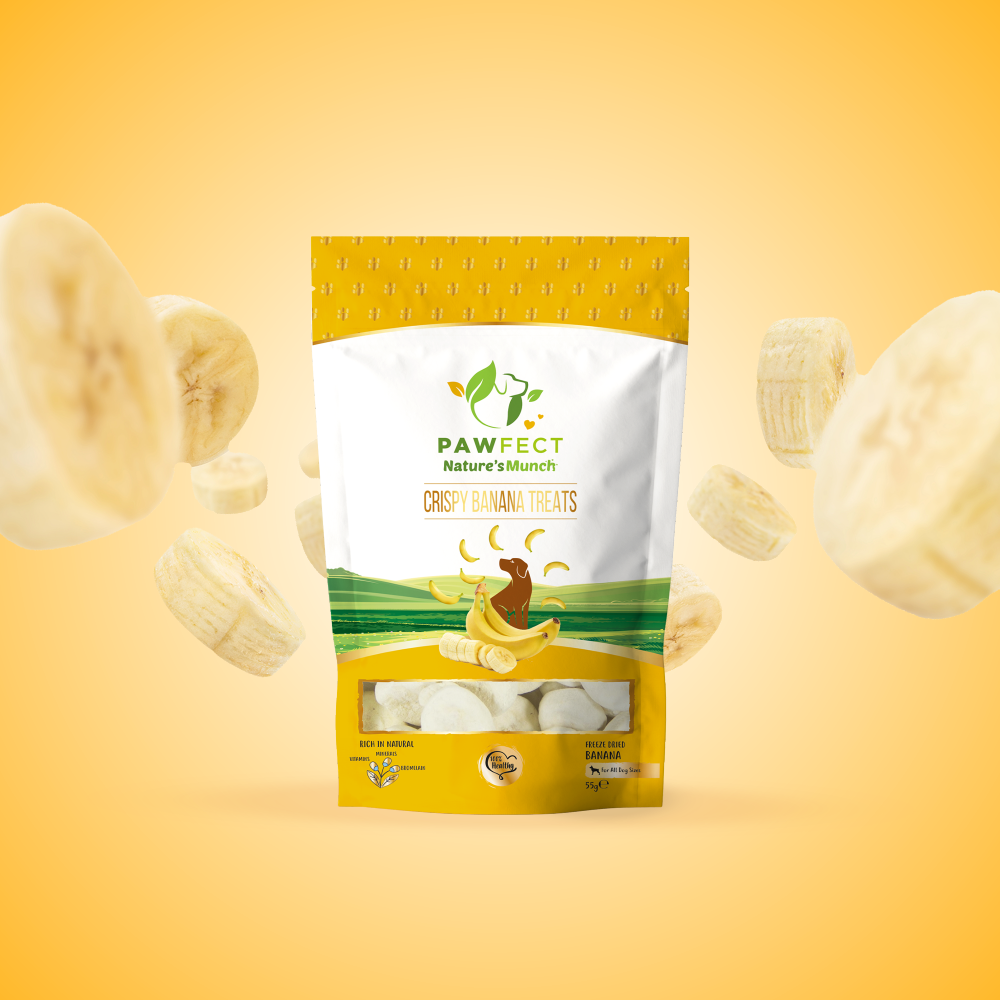 Nature's Munch Single Ingredient Vegan Treats: Banana (60g/1.94oz)