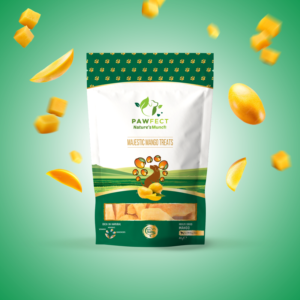 Nature's Munch Single Ingredient Vegan Treats: Mango (40g/1.41oz)