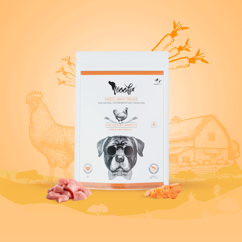 Woofur Jerky Treats: Chicken & Carrot (50g/1.76oz) (Chewy)