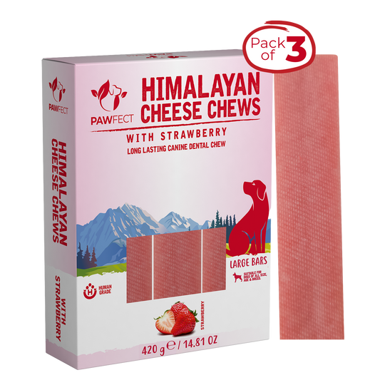 Himalayan Cheese Dental Chews - Strawberry - Pack of 3 Chews