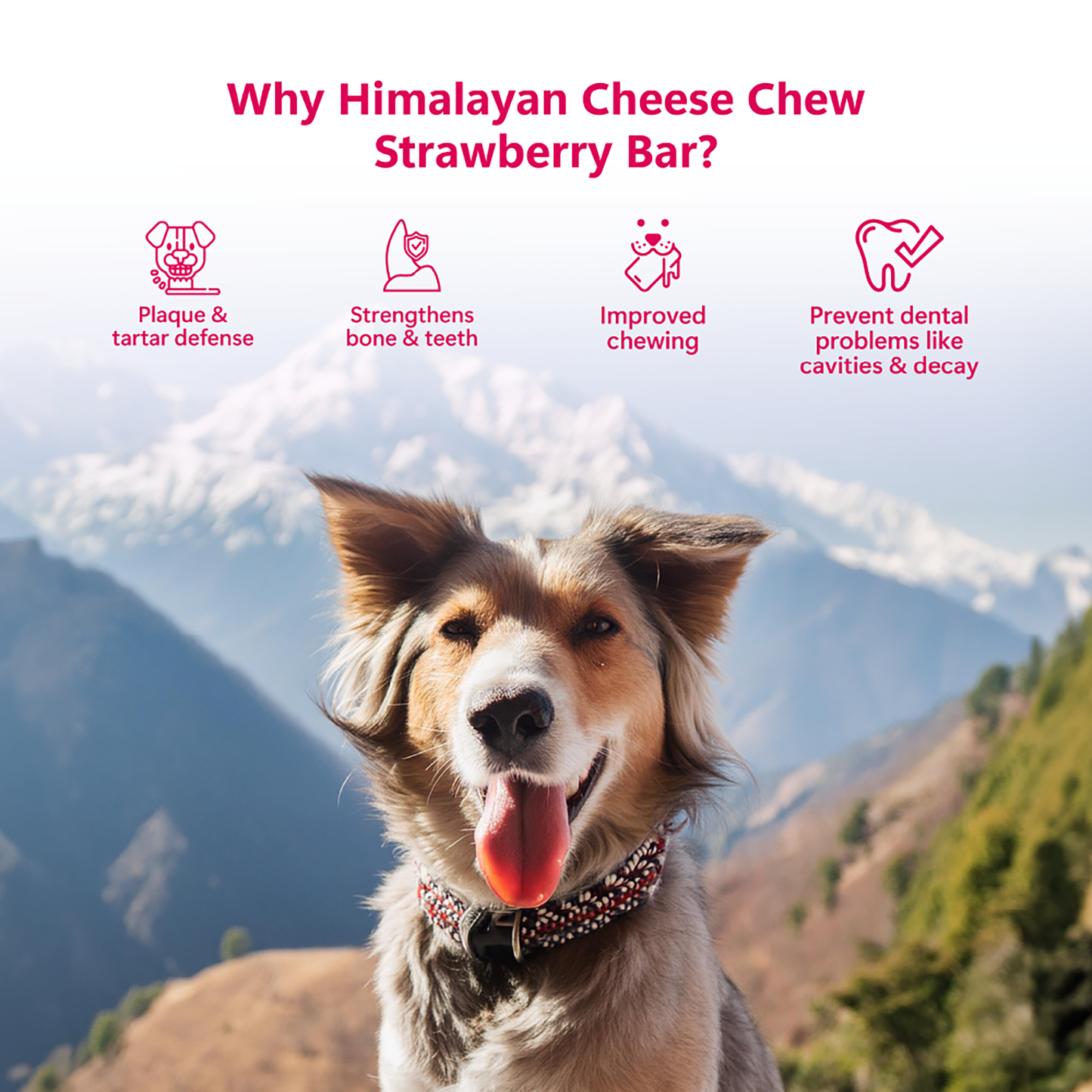 Himalayan Cheese Dental Chews - Strawberry - Pack of 3 Chews