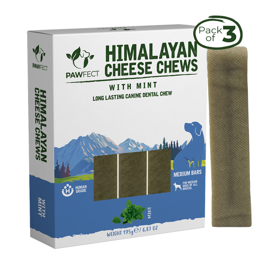 Himalayan Cheese Dental Chews - Mint - Pack of 3 Chews