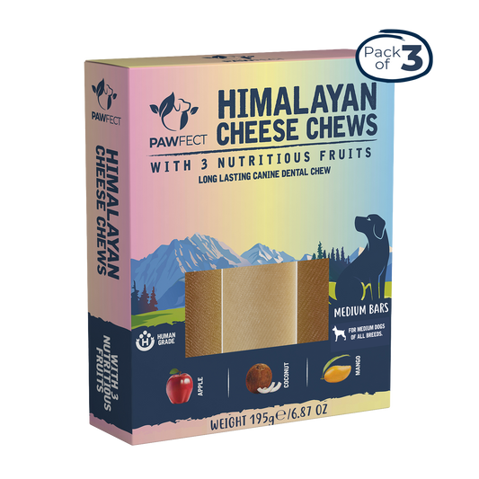 Himalayan Cheese Dental Chews - Apple, Coconut and Mango - Pack of 3 Chews