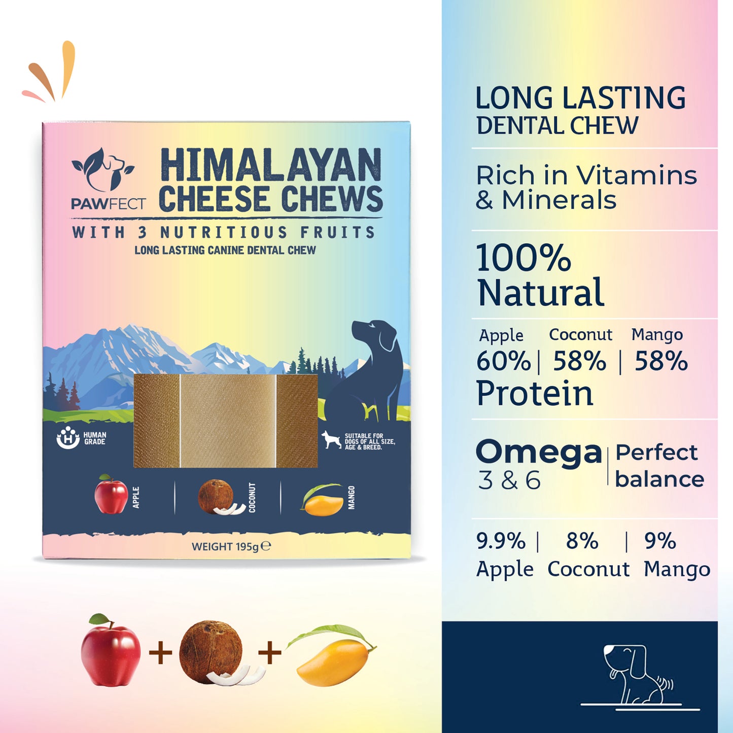 Himalayan Cheese Dental Chews - Apple, Coconut and Mango - Pack of 3 Chews