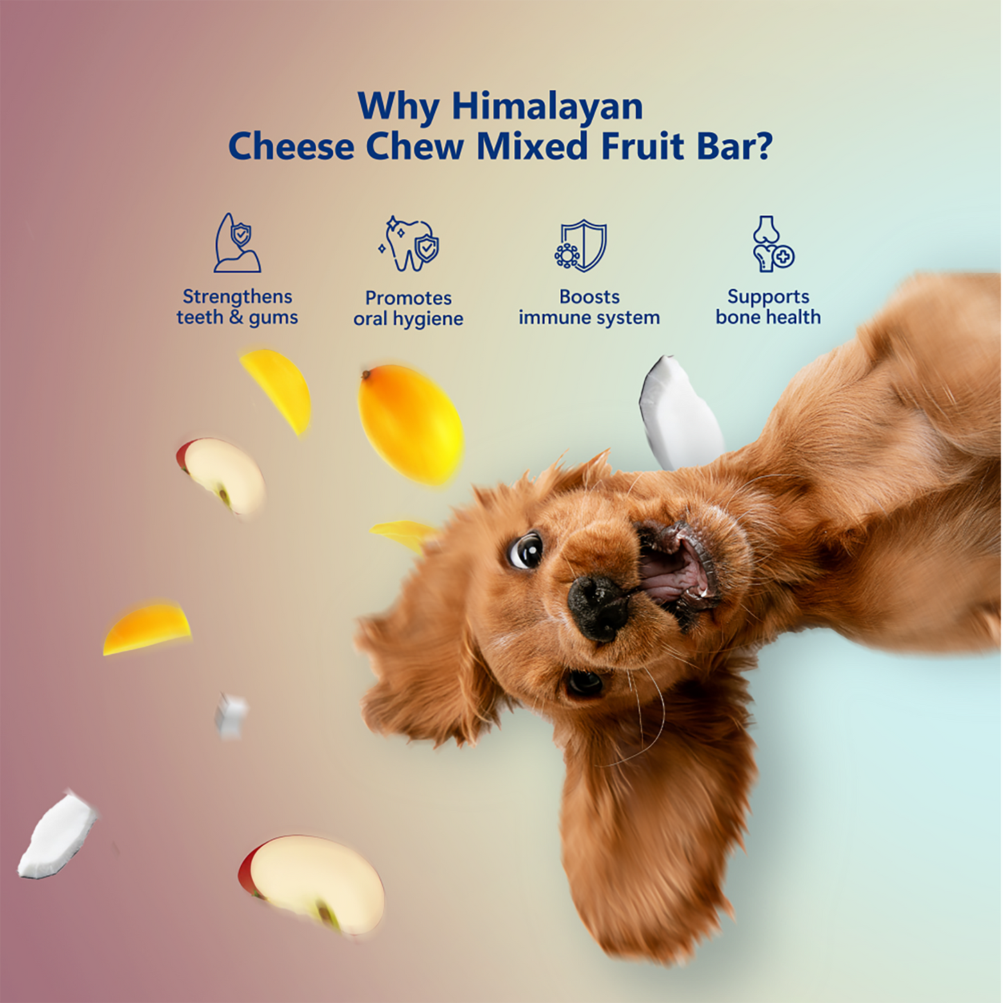 Himalayan Cheese Dental Chews - Apple, Coconut and Mango - Pack of 3 Chews