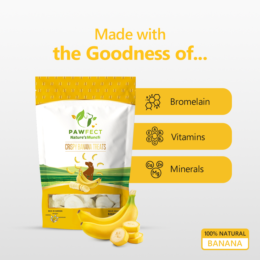 Nature's Munch Single Ingredient Vegan Treats: Banana (60g/1.94oz)