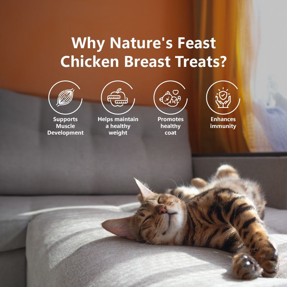 Nature's Feast Freeze Dried Cat Treats: Chicken Breast (50g/1.76oz)