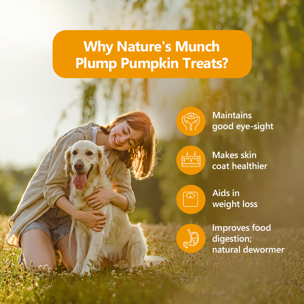 Nature's Munch Single Ingredient Vegan Treats: Pumpkin