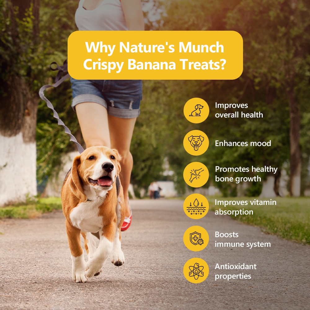 Nature's Munch Single Ingredient Vegan Treats: Banana (60g/1.94oz)