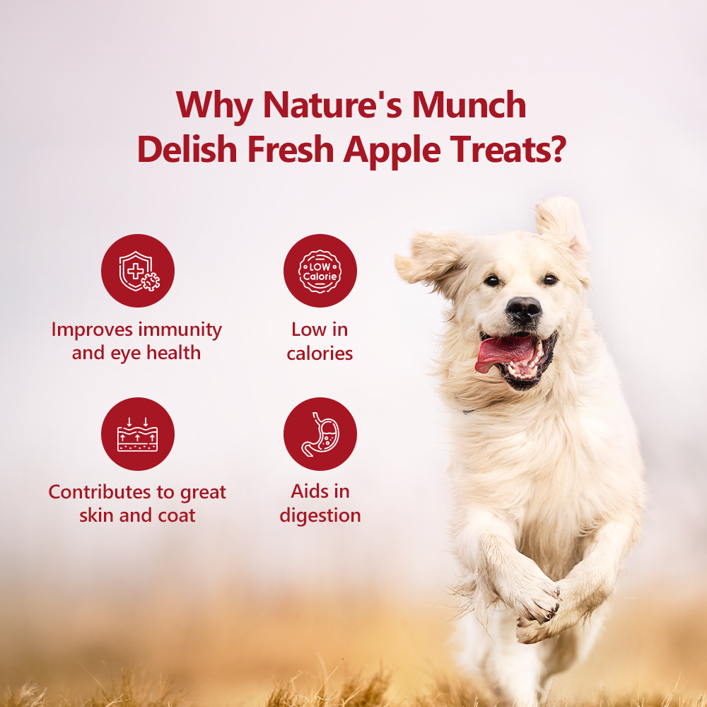 Nature's Munch Single Ingredient Vegan Treats: Apple (40g/1.41oz) (Chewy)