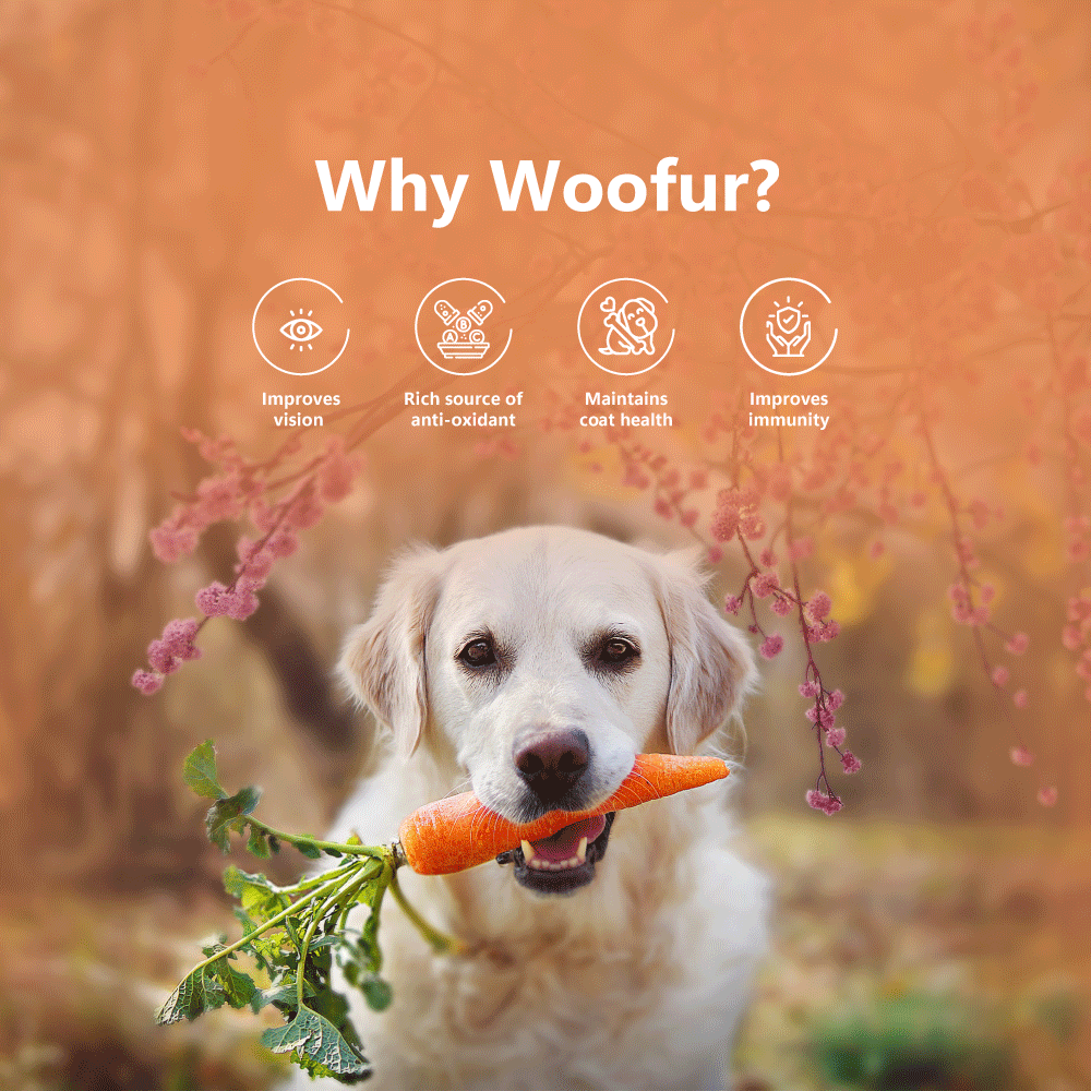 Woofur Jerky Treats: Chicken & Carrot (50g/1.76oz) (Chewy)